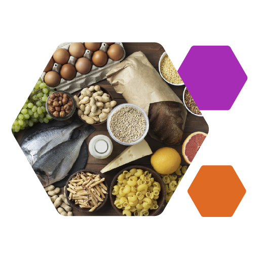 BodegonComida_Nuestra_Gastronomia_Albi_Sociosanitario