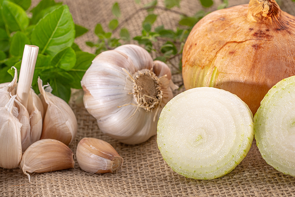 Ajo, cebolla y puerro
